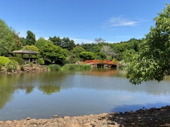 B41F533E-27E0-4D7A-8C8B-A1D63288D065.jpeg B41F533E-27E0-4D7A-8C8B-A1D63288D065.jpeg