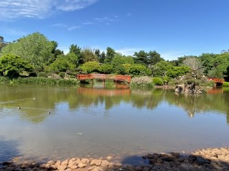 8EDBB82D-5EA9-4DA0-B3B9-2AC7365D5DE2.jpeg 8EDBB82D-5EA9-4DA0-B3B9-2AC7365D5DE2.jpeg