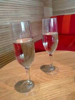 IMG20221103120619.jpg IMG20221103120619.jpg