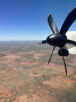 20EA7D82-1A2F-4C31-94BC-1E4D79CEED64.jpeg 20EA7D82-1A2F-4C31-94BC-1E4D79CEED64.jpeg