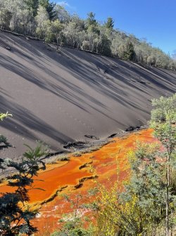 C9BF3860-C0EA-400E-BF35-413F1E09192F.jpeg C9BF3860-C0EA-400E-BF35-413F1E09192F.jpeg