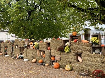 1B6E72AF-4709-46F5-B63C-57E7CA7B727B.jpeg 1B6E72AF-4709-46F5-B63C-57E7CA7B727B.jpeg