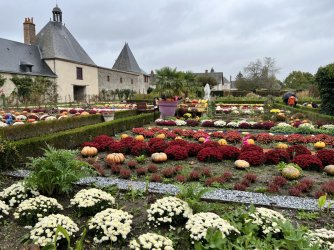 F675FADE-0FAC-4880-A932-518D7BADF436.jpeg F675FADE-0FAC-4880-A932-518D7BADF436.jpeg