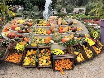 A8AFF8F1-1F20-45A1-96DE-4AB23C0DC490.jpeg A8AFF8F1-1F20-45A1-96DE-4AB23C0DC490.jpeg