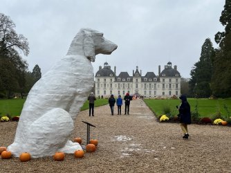 BC82FC42-0E77-439B-96CB-0ABE073E5543.jpeg BC82FC42-0E77-439B-96CB-0ABE073E5543.jpeg