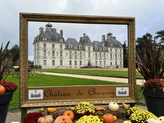 64C7FCF9-1DAE-4410-8EF9-2DED56394A28.jpeg 64C7FCF9-1DAE-4410-8EF9-2DED56394A28.jpeg