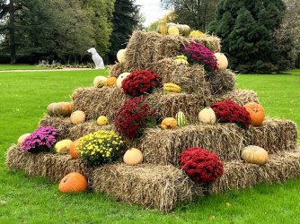 5FEED2A7-4BB7-4DBB-8C99-854112B59F01.jpeg 5FEED2A7-4BB7-4DBB-8C99-854112B59F01.jpeg