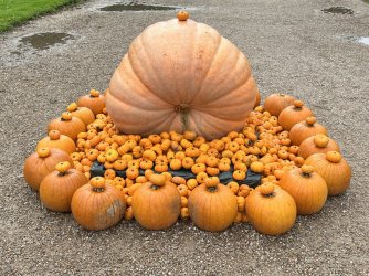 97AE52DC-9FBD-4BE3-AB36-70AD701048D2.jpeg 97AE52DC-9FBD-4BE3-AB36-70AD701048D2.jpeg