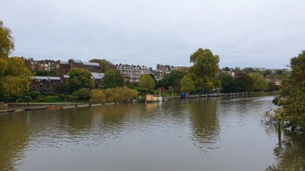 20221106_122921.jpg 20221106_122921.jpg