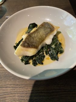 A0001175-BA47-4FBB-BCA2-C6CF9E27D84C.jpeg A0001175-BA47-4FBB-BCA2-C6CF9E27D84C.jpeg