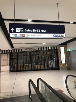 E9028A15-1A94-4C67-8535-D3E36EDB7DF2.jpeg E9028A15-1A94-4C67-8535-D3E36EDB7DF2.jpeg