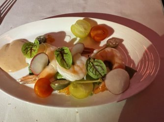 IMG_9207.JPG IMG_9207.JPG