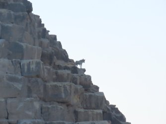 IMG_1224.JPG IMG_1224.JPG