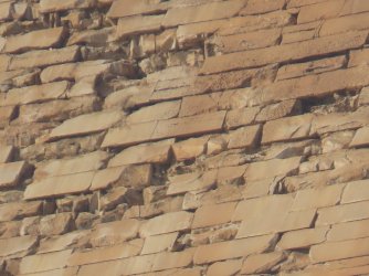 IMG_1237.JPG IMG_1237.JPG