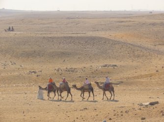 IMG_1255.JPG IMG_1255.JPG