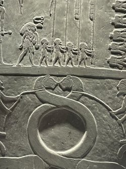 IMG_9446.JPG IMG_9446.JPG