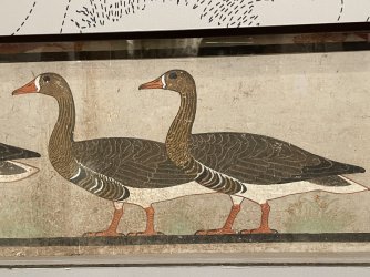 IMG_9453.JPG IMG_9453.JPG