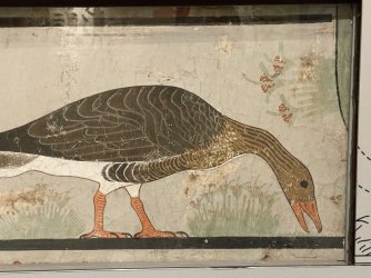 IMG_9455.JPG IMG_9455.JPG