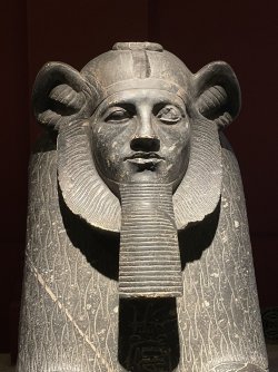 IMG_9470.JPG IMG_9470.JPG