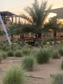 7CE9C66B-62B5-4FF0-B1D0-1E10F9616C7D.jpeg 7CE9C66B-62B5-4FF0-B1D0-1E10F9616C7D.jpeg