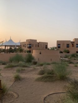 F185C758-3D9B-4030-B23F-241952C18D04.jpeg F185C758-3D9B-4030-B23F-241952C18D04.jpeg