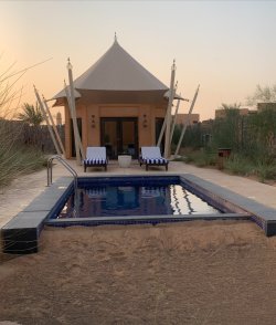 2C70A39B-BE98-430E-AD12-89812CAAD9E4.jpeg 2C70A39B-BE98-430E-AD12-89812CAAD9E4.jpeg