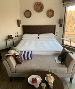 60D39F28-719D-439C-B169-BAB7CC413BE4.jpeg 60D39F28-719D-439C-B169-BAB7CC413BE4.jpeg