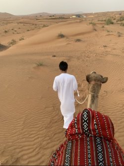 A5A2A770-91CB-4F91-BD48-DD89EE848450.jpeg A5A2A770-91CB-4F91-BD48-DD89EE848450.jpeg