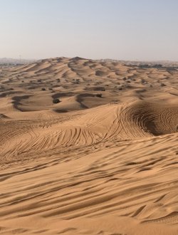 EA7171B0-273F-4A77-9F95-7DDBDDA31418.jpeg EA7171B0-273F-4A77-9F95-7DDBDDA31418.jpeg