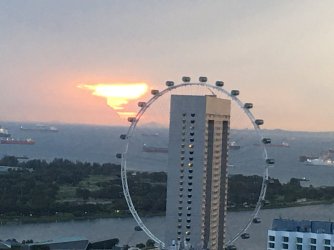 020FA114-2417-4DED-8919-DA5E1C9C29DE.jpeg 020FA114-2417-4DED-8919-DA5E1C9C29DE.jpeg