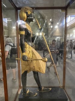 IMG_9487.JPG IMG_9487.JPG