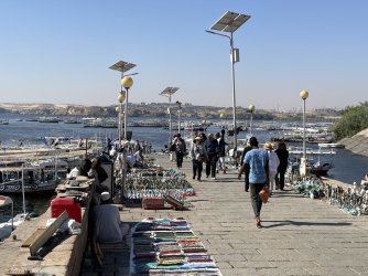 IMG_9537.JPG IMG_9537.JPG