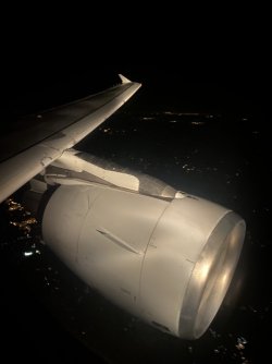 F8C5693F-18D0-420B-9E77-6B41E2BFC6AF.jpeg F8C5693F-18D0-420B-9E77-6B41E2BFC6AF.jpeg