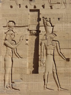 IMG_1305.JPG IMG_1305.JPG