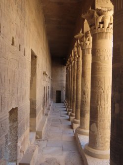 IMG_1311.JPG IMG_1311.JPG