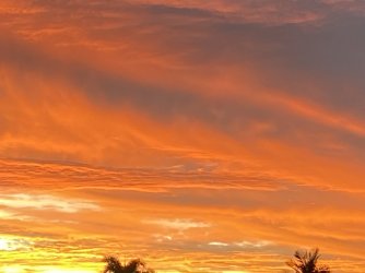 8F70D9E1-CA62-489D-BF0B-66D15C1DF152.jpeg 8F70D9E1-CA62-489D-BF0B-66D15C1DF152.jpeg