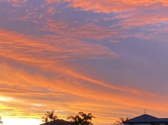 5A0F8C67-56D2-4FEC-A0BE-794E661A94B1.jpeg 5A0F8C67-56D2-4FEC-A0BE-794E661A94B1.jpeg