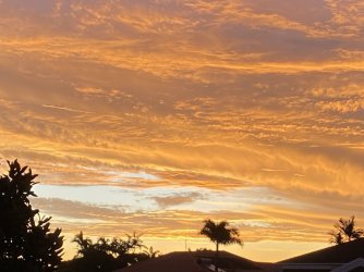 2C86E055-8D2A-43D5-B5A6-3724DB1CEA91.jpeg 2C86E055-8D2A-43D5-B5A6-3724DB1CEA91.jpeg