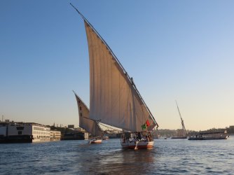 IMG_1324.JPG IMG_1324.JPG