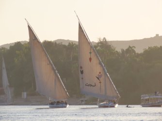 IMG_1329.JPG IMG_1329.JPG