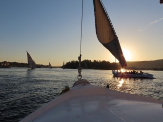 IMG_1333.JPG IMG_1333.JPG