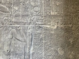 IMG_9555.JPG IMG_9555.JPG