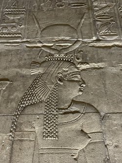 IMG_9560.JPG IMG_9560.JPG