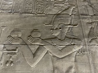 IMG_9561.JPG IMG_9561.JPG