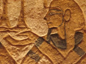 IMG_1369.JPG IMG_1369.JPG