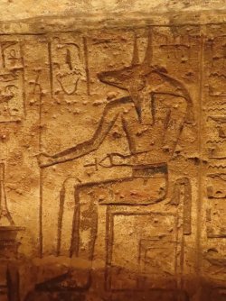 IMG_1387.JPG IMG_1387.JPG