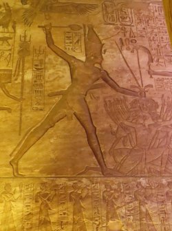 IMG_1388.JPG IMG_1388.JPG