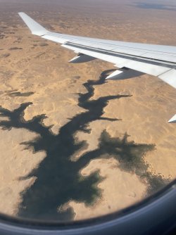 IMG_9711.JPG IMG_9711.JPG