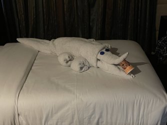 IMG_9730.JPG IMG_9730.JPG