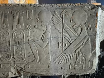 IMG_9784.JPG IMG_9784.JPG